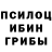 Галлюциногенные грибы ЛСД Shirin Aydarkulova
