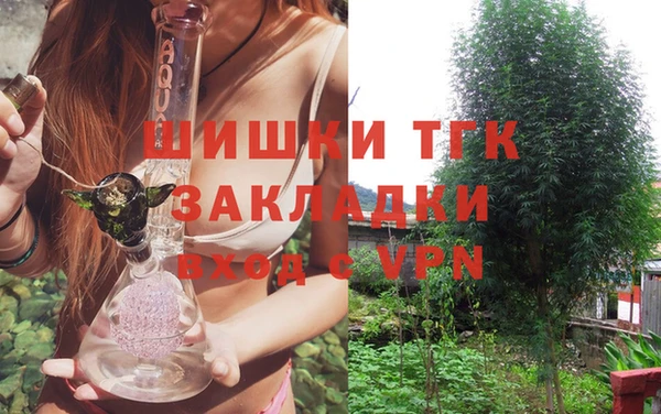 СК Каменка