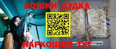 герыч Кингисепп