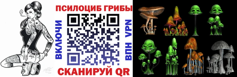 как найти закладки  MEGA маркетплейс  Псилоцибиновые грибы ЛСД  Элиста 