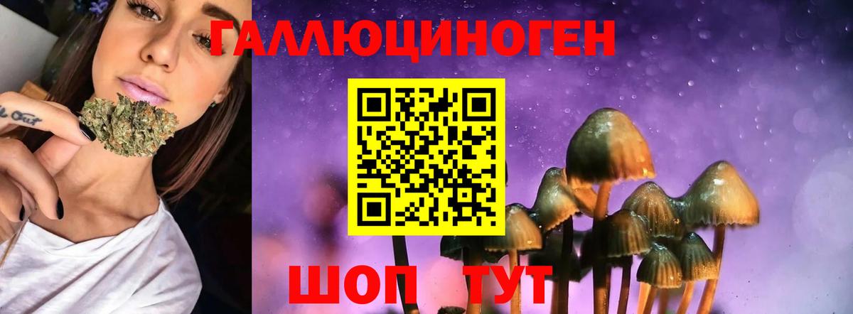 Псилоцибиновые грибы Cubensis Элиста